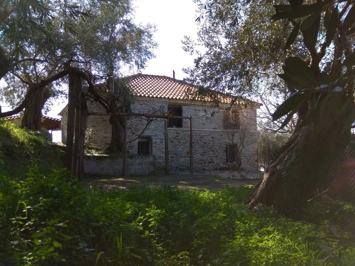 Pelion Zervochia Villa Afissos Exterior photo