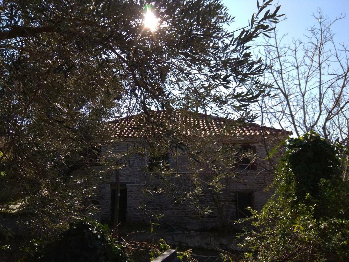 Pelion Zervochia Villa Afissos Exterior photo